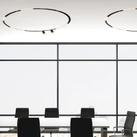 Lenktas Magnetinis 48V LED Bėgio Segmentas su Prožektoriais, Smėlio Juoda, 8W DALI - Nuotrauka 2