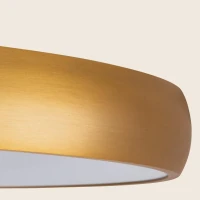 Pakabinamas LED šviestuvas 40cm, matinės šlifuoto aukso spalvos, 32W 3000K - Nuotrauka 2