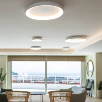 Lubinis LED šviestuvas 43W 3000K Baltas Matinis Aliuminis Akrilas Ø60cm - Nuotrauka 1