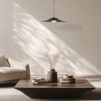 LED pakabinamas šviestuvas Diskas, juodas matinis - Nuotrauka 1