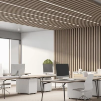 Įleidžiamas Linijinis LED Profilis – Juodas, 3000K, DALI - Nuotrauka 2