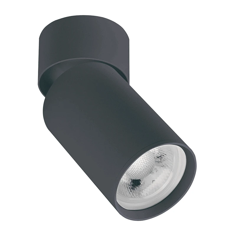 Surface Ceiling Spot 1xGU10 Matt Black