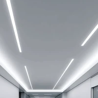 Įleidžiamas LED Linijinis Profilis Juodas Matinis - Nuotrauka 2