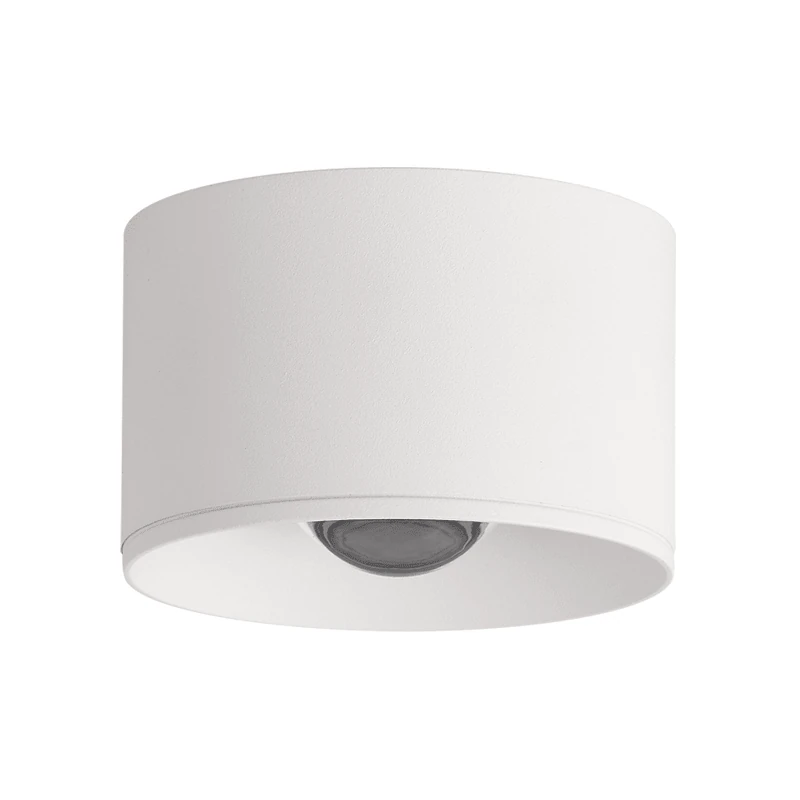 Surface LED Ceiling Spot, White