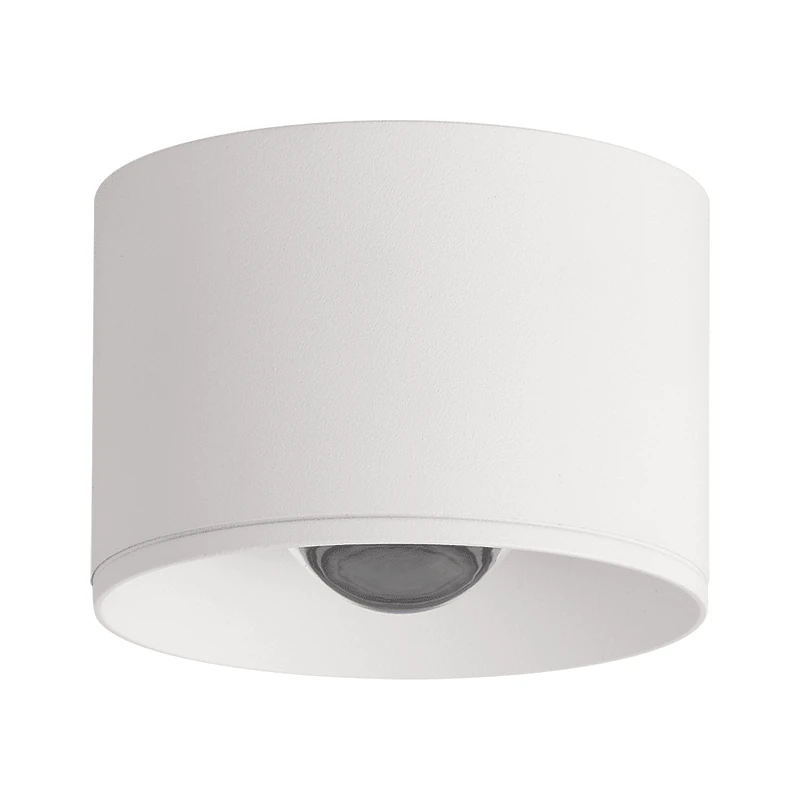 White Surface-Mounted LED Ceiling Spot D80 IP54