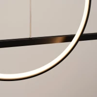 Pendant lamp 46W – ring with line, black, CRI93 - Image 4