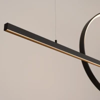 Pendant lamp 46W – ring with line, black, CRI93 - Image 5