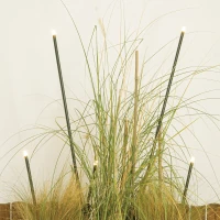 Dark Brown Outdoor LED Garden Spike Light, IP65, 2700K - Image 1
