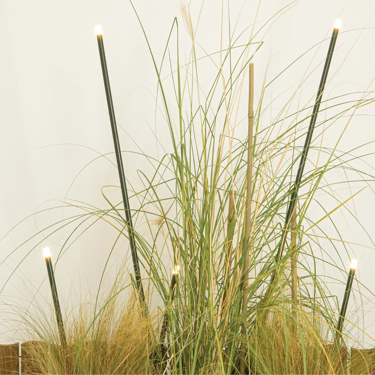 Outdoor Garden Spike Light, Dark Brown
