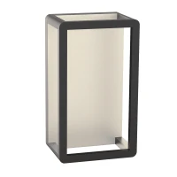 Graphite Outdoor LED Wall Light - Image 1