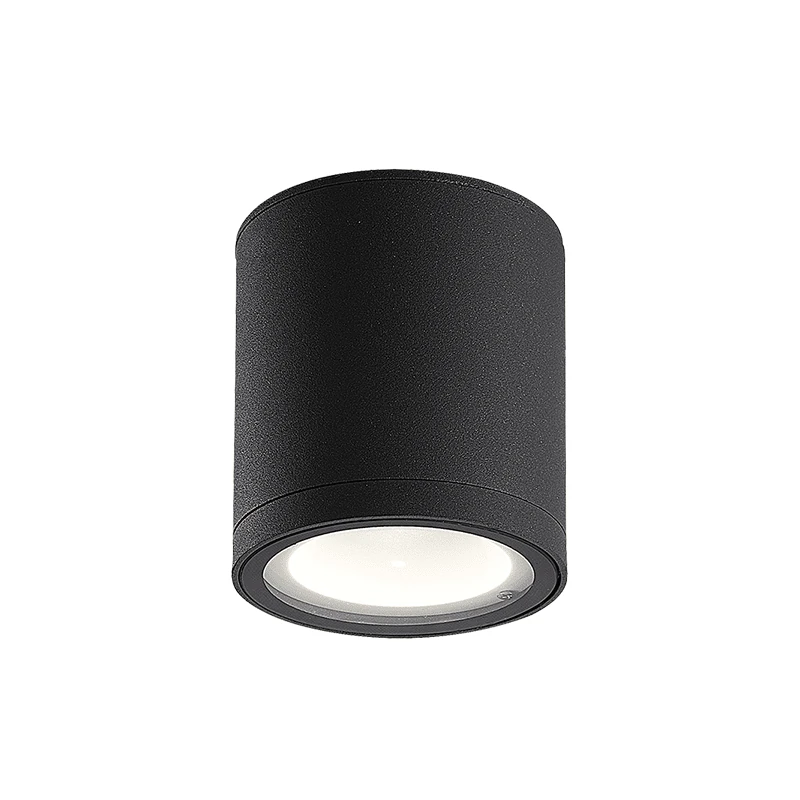Graphite Outdoor LED Surface Mount Ceiling Light IP65