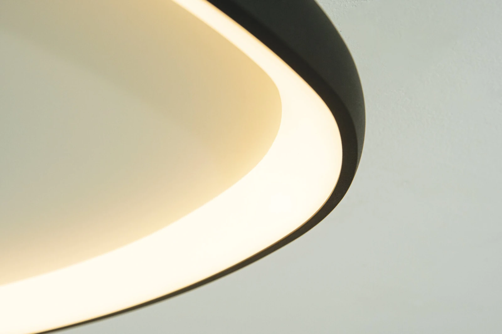 Organic Matt Black LED Ceiling Light