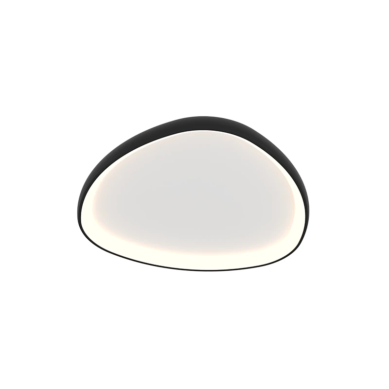 Organic Matt Black LED Ceiling Light