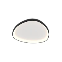 Organic Matt Black LED Ceiling Light - Image 2