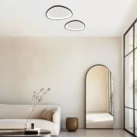 LED Ceiling Light 39W 3000K Black Matt Organic Shape - Image 3