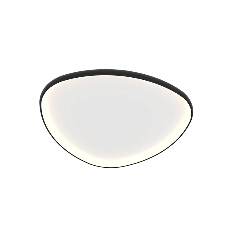LED Ceiling Light 39W 3000K Black Matt Organic Shape