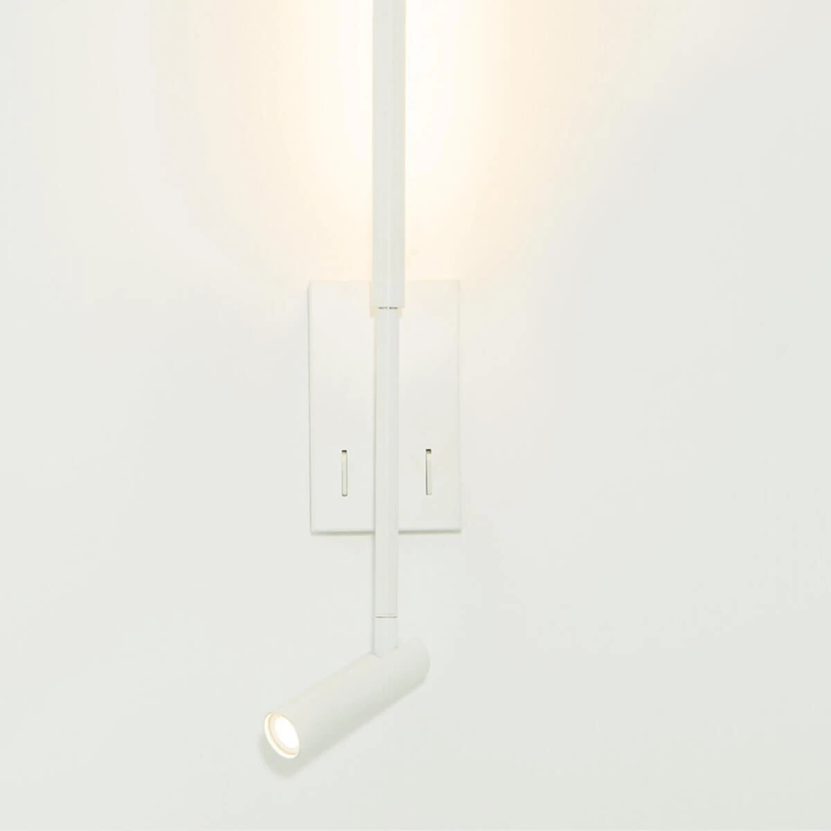 Matt White LED Wall Light with Adjustable Spotlight
