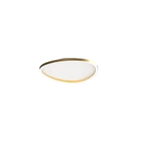 Oval LED Ceiling Light 29W 3000K Matt Gold - Image 1