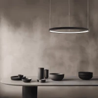 Juodas matinis 60cm LED pakabinamas žiedinis šviestuvas - Nuotrauka 1