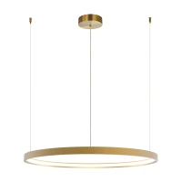 Gold Matt Dimmable LED Ring Pendant Light - Image 2