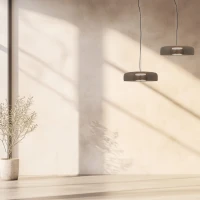Tonuoto Stiklo LED Pakabinamas Šviestuvas, Juoda Matinė Apdaila - Nuotrauka 1