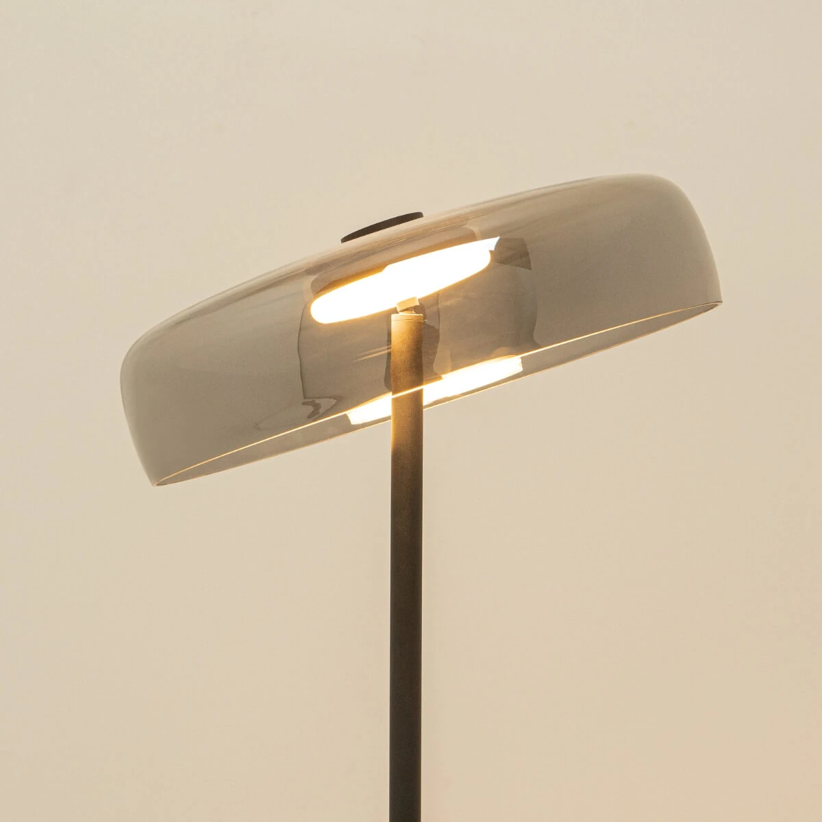 Modernus LED Toršeras su Tonuotu Stiklu, Juodas Matinis