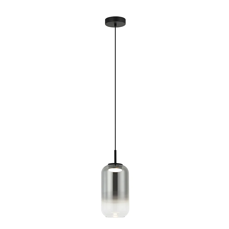 Tonuoto Stiklo LED Pakabinamas Šviestuvas, Matinės Juodos, 36cm