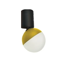 LED bėginis šviestuvas 5W 3000K, aukso matinis, Ø 6 cm - Nuotrauka 1