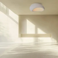 Organic Ceiling Light, Natural Fiberglass Finish, 87x65 cm - Image 1