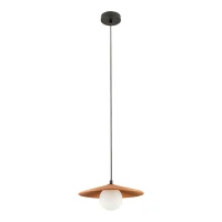 LED Pakabinamas Šviestuvas | Terakotos Molio ir Juodo Metalo | G9 - Nuotrauka 2