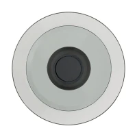 LED Sieninis Šviestuvas, Tamsintas Stiklas ir Smėlio Juoda, 10W 3000K - Nuotrauka 1
