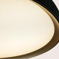 LED Ceiling Light 20W CCT Tunable Black Matt - Gold - Image 2