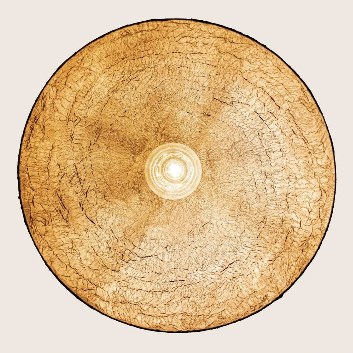 Organic Textured Black Pendant Light