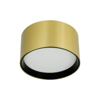 Gold DALI CCT LED Ceiling Spot 12W, Surface Mount - Image 1