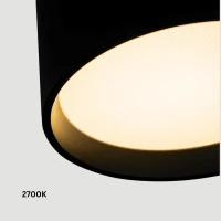 Paviršinis lubinis LED šviestuvas, 12W, CCT, matinės juodos spalvos - Nuotrauka 3