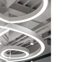 Pakabinamas žiedo formos LED šviestuvas 45 W - Nuotrauka 5