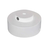 Bazė su 100 W maitinimo šaltiniu ir nuotolinio valdymo pultu 24 V Plug & Play sistemai, lubinė / sieninė, smėlio balta