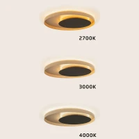 Lubinis LED šviestuvas 50W 2700K/3000K/4000K – matinis juodas - Nuotrauka 3