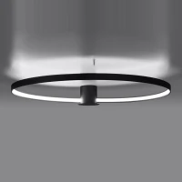 Ceiling lamp 47W – round, black, CRI98 - Image 4