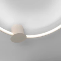 Ceiling LED lamp 55 cm – round, beige, CRI98 - Image 1