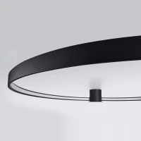Lubinis LED šviestuvas 55 cm – žiedas, baltas, CRI98 - Nuotrauka 3