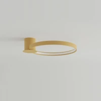 Ceiling LED light 33W – round loop, gold, CRI98 - Image 3