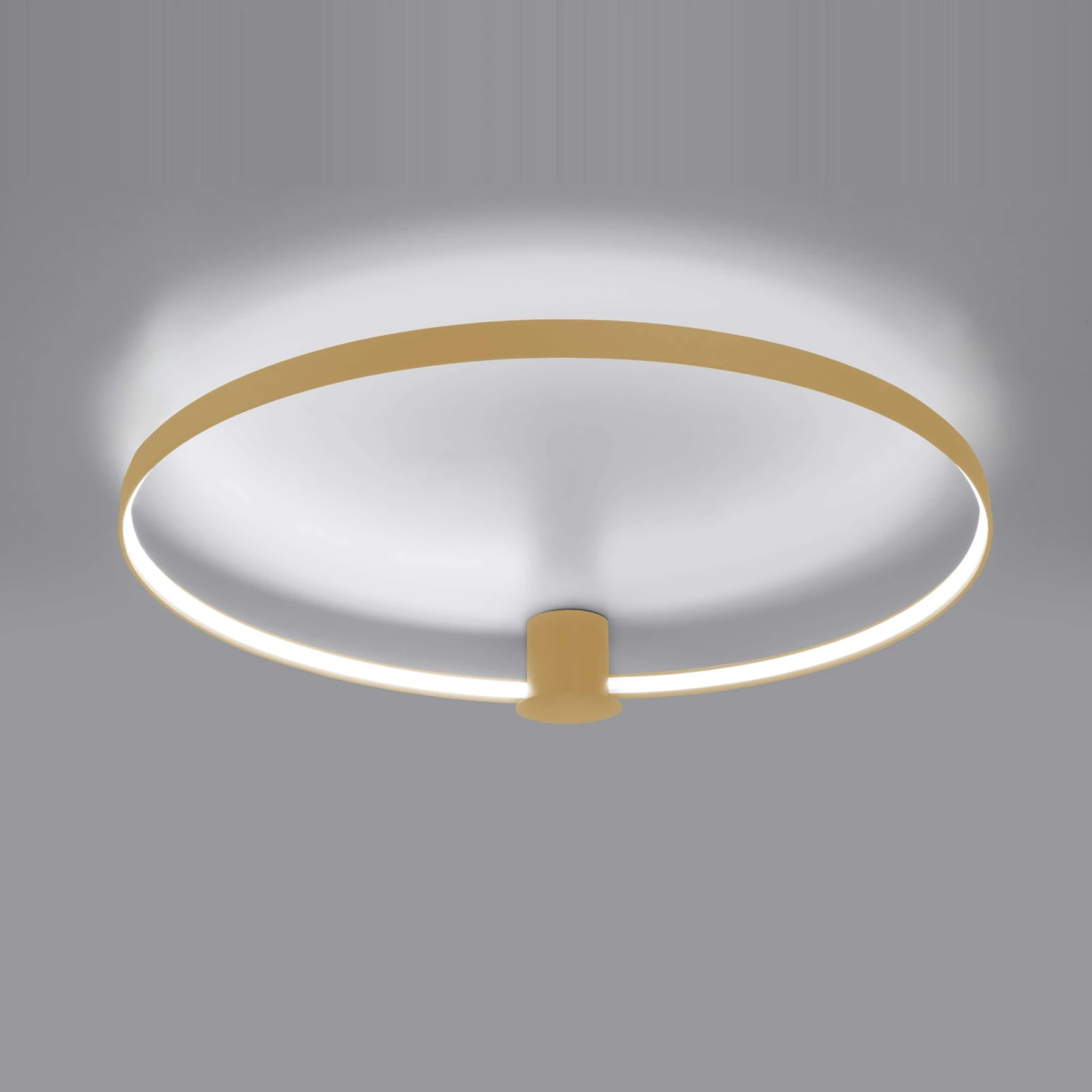 Ceiling LED light 33W – round loop, gold, CRI98