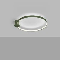 Ceiling lamp 33W – oval ring, olive green, CRI98 - Image 1
