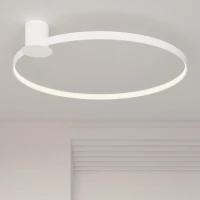 Ceiling lamp 33W – ring, white, CRI98 - Image 1