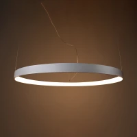 Pakabinamas šviestuvas 55 cm – apvalus, baltas, aukštas CRI - Nuotrauka 1