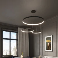 Pendant light 33W – round ring, black, CRI98 - Image 18