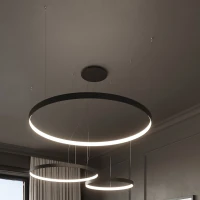 Pendant light 33W – round ring, black, CRI98 - Image 1