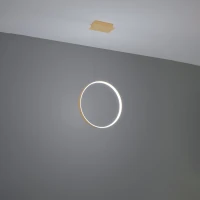 Pakabinamas LED šviestuvas 55 cm – žiedas, aukso spalvos, CRI98 - Nuotrauka 4
