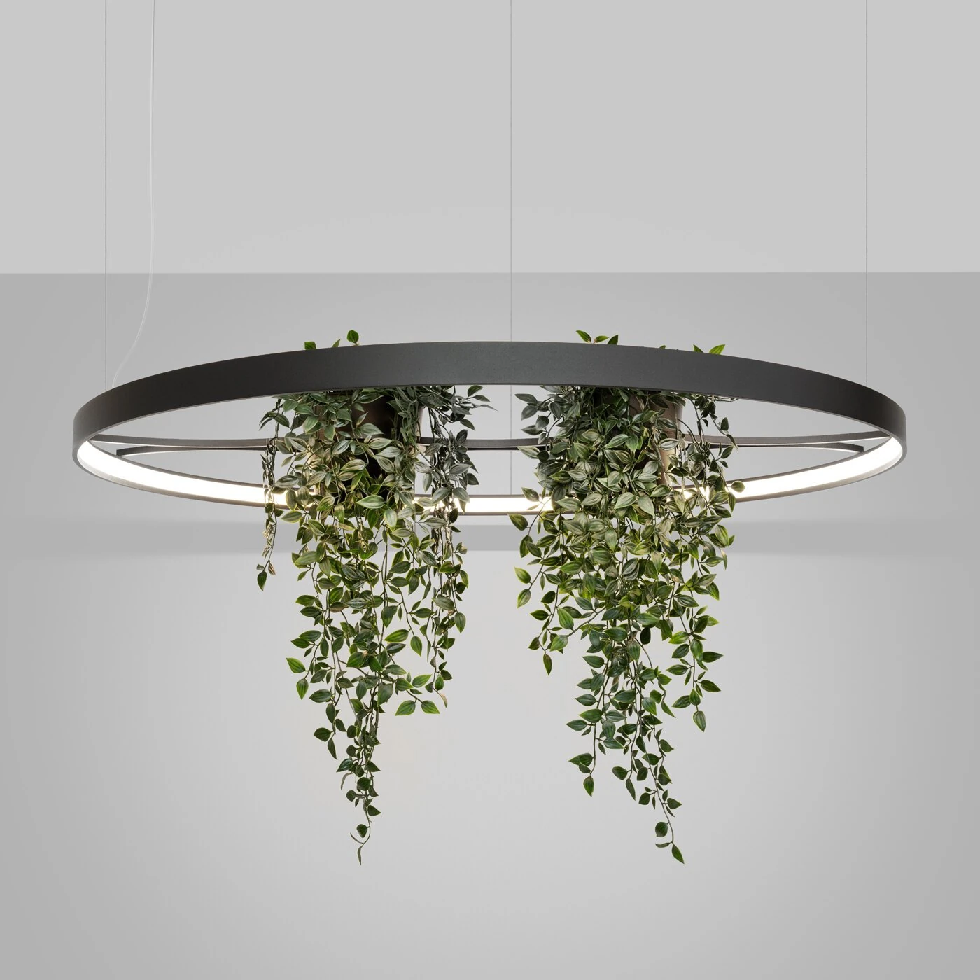 Pakabinamas LED šviestuvas 110 cm – apvalus, juodas, su augalų erdve